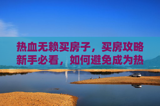 热血无赖买房子，买房攻略新手必看，如何避免成为热血无赖的房产投资者？