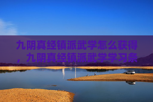 九阴真经镇派武学怎么获得，九阴真经镇派武学学习条件