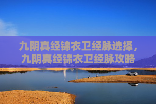 九阴真经锦衣卫经脉选择，九阴真经锦衣卫经脉攻略