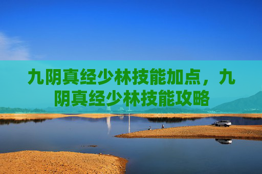 九阴真经少林技能加点，九阴真经少林技能攻略