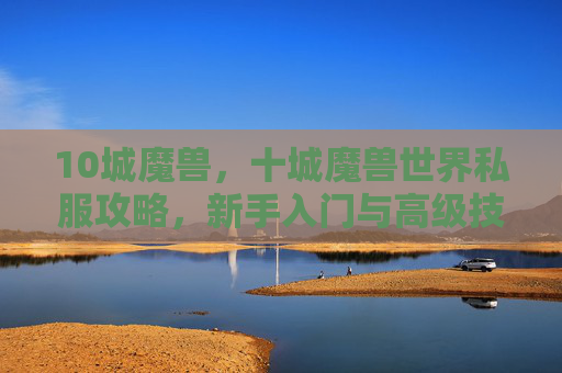 10城魔兽，十城魔兽世界私服攻略，新手入门与高级技巧全解析