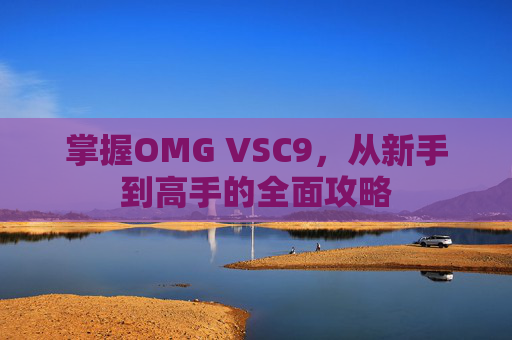 掌握OMG VSC9，从新手到高手的全面攻略