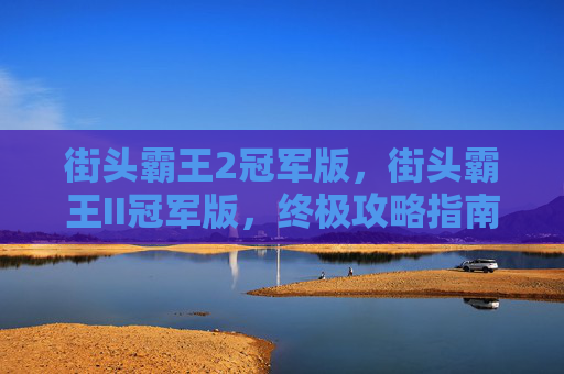 街头霸王2冠军版，街头霸王II冠军版，终极攻略指南