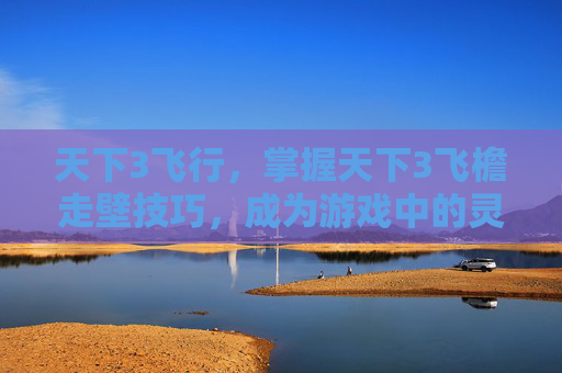 天下3飞行，掌握天下3飞檐走壁技巧，成为游戏中的灵动侠者