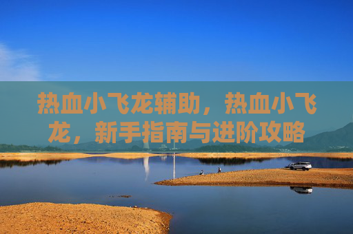 热血小飞龙辅助,热血小飞龙,新手指南与进阶攻略 热血小飞龙辅助,热血小飞龙,新手指南与进阶攻略