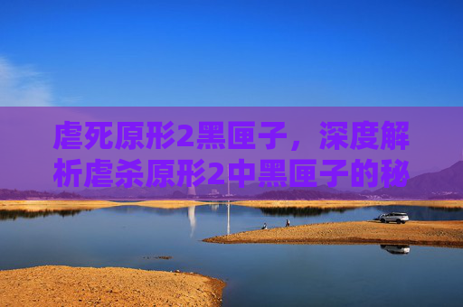 虐死原形2黑匣子，深度解析虐杀原形2中黑匣子的秘密与挑战