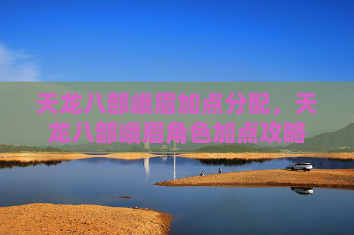 天龙八部峨眉加点分配，天龙八部峨眉角色加点攻略