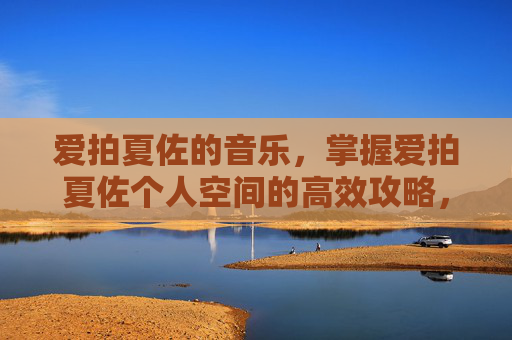 爱拍夏佐的音乐，掌握爱拍夏佐个人空间的高效攻略，让你成为游戏高手