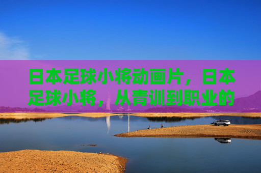 日本足球小将动画片，日本足球小将，从青训到职业的崛起之路