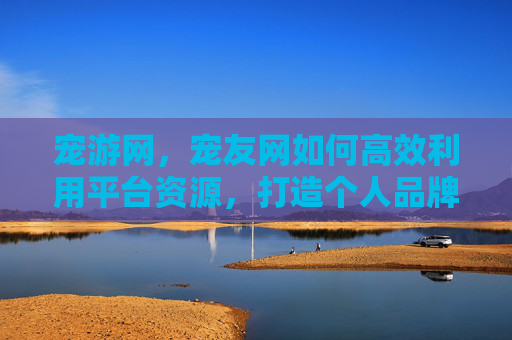 宠游网,宠友网如何高效利用平台资源,打造个人品牌? 宠游网,宠友网如何高效利用平台资源,打造个人品牌?
