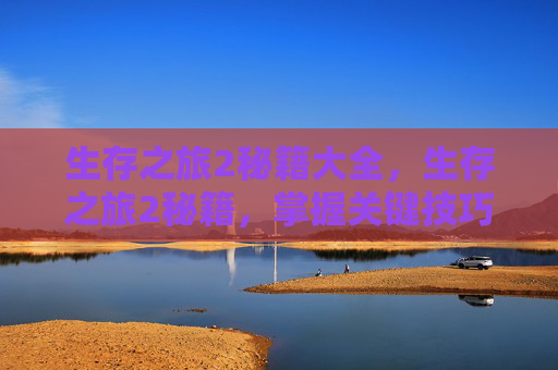 生存之旅2秘籍大全，生存之旅2秘籍，掌握关键技巧，提升游戏体验