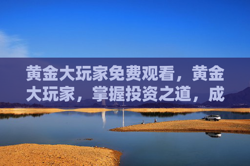 黄金大玩家免费观看,黄金大玩家,掌握投资之道,成为财富的主宰者 黄金大玩家免费观看,黄金大玩家,掌握投资之道,成为财富的主宰者
