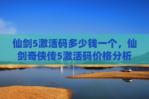 仙剑5激活码多少钱一个，仙剑奇侠传5激活码价格分析与购买攻略