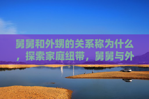 舅舅和外甥的关系称为什么,探索家庭纽带,舅舅与外甥之间的微妙关系 舅舅和外甥的关系称为什么,探索家庭纽带,舅舅与外甥之间的微妙关系