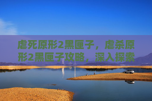 虐死原形2黑匣子，虐杀原形2黑匣子攻略，深入探索与技巧指南