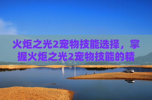 火炬之光2宠物技能选择,掌握火炬之光2宠物技能的精髓 火炬之光2宠物技能选择,掌握火炬之光2宠物技能的精髓
