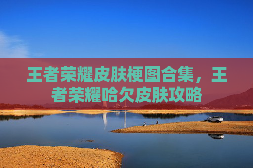 王者荣耀皮肤梗图合集，王者荣耀哈欠皮肤攻略