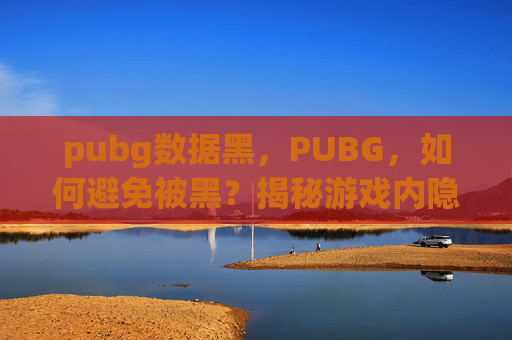 pubg数据黑，PUBG，如何避免被黑？揭秘游戏内隐藏技巧与策略