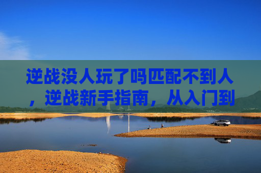 逆战没人玩了吗匹配不到人，逆战新手指南，从入门到精通的全面攻略