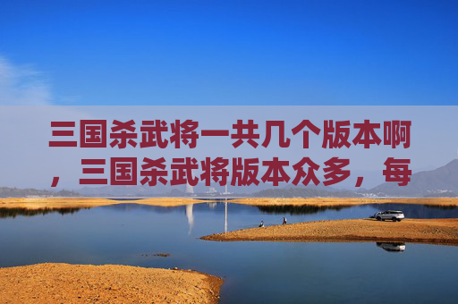 三国杀武将一共几个版本啊，三国杀武将版本众多，每个版本都有其独特的设定和特点。以下是对三国杀武将版本的简要介绍
