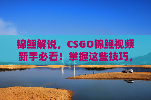 锦鲤解说，CSGO锦鲤视频新手必看！掌握这些技巧，让你成为游戏中的锦鲤