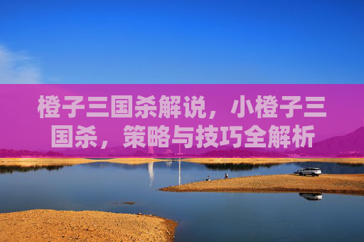 橙子三国杀解说，小橙子三国杀，策略与技巧全解析
