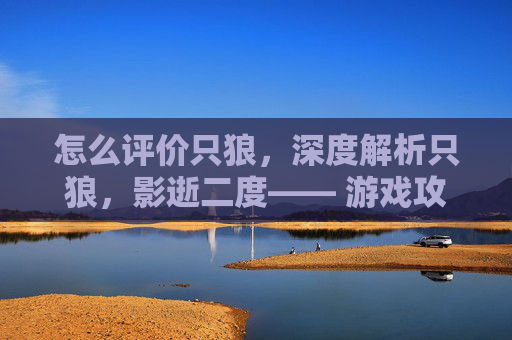 怎么评价只狼，深度解析只狼，影逝二度—— 游戏攻略与心得分享
