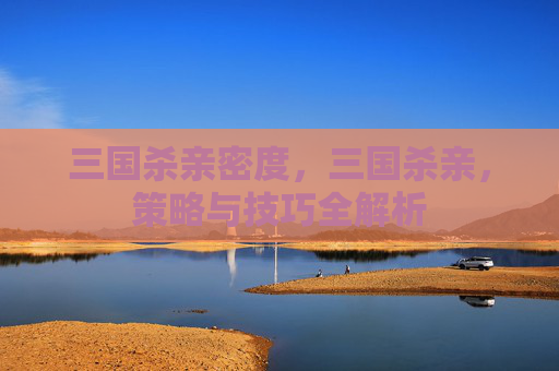 三国杀亲密度，三国杀亲，策略与技巧全解析