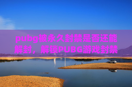 pubg被永久封禁是否还能解封，解锁PUBG游戏封禁的终极攻略
