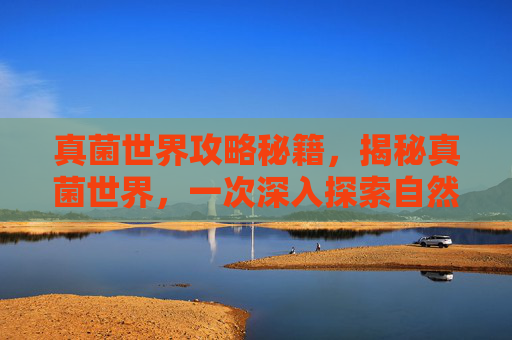 真菌世界攻略秘籍，揭秘真菌世界，一次深入探索自然奥秘的旅程