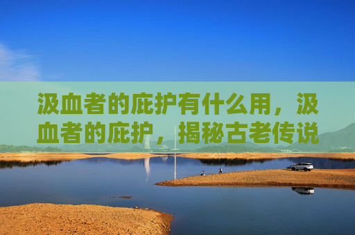 汲血者的庇护有什么用，汲血者的庇护，揭秘古老传说与现代魔法的结合