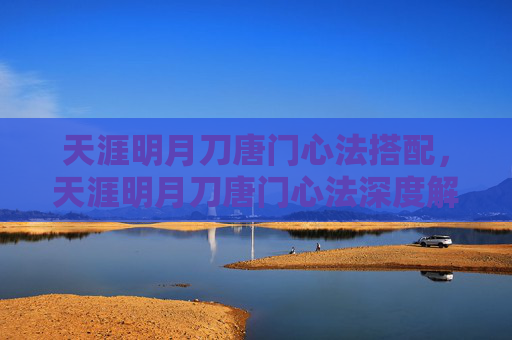 天涯明月刀唐门心法搭配，天涯明月刀唐门心法深度解析与实战攻略
