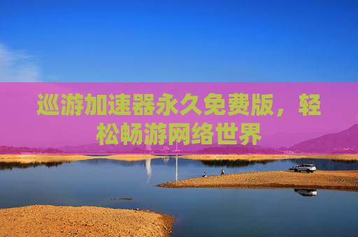巡游加速器永久免费版，轻松畅游网络世界