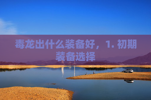 毒龙出什么装备好，1. 初期装备选择