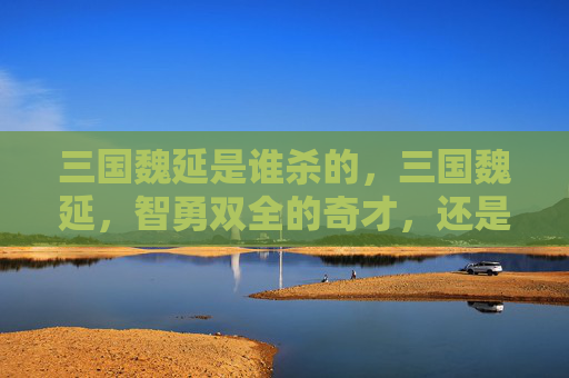 三国魏延是谁杀的,三国魏延,智勇双全的奇才,还是野心勃勃的叛将? 三国魏延是谁杀的,三国魏延,智勇双全的奇才,还是野心勃勃的叛将?