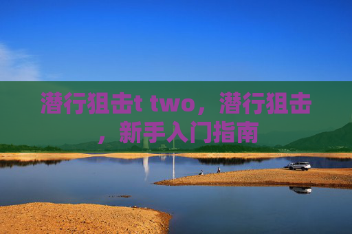 潜行狙击t two,潜行狙击,新手入门指南 潜行狙击t two,潜行狙击,新手入门指南