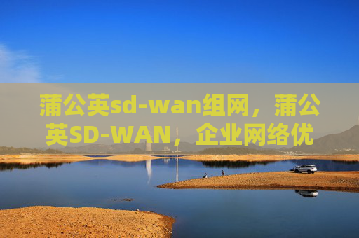 蒲公英sd-wan组网,蒲公英SD-WAN,企业网络优化的利器 蒲公英sd-wan组网,蒲公英SD-WAN,企业网络优化的利器