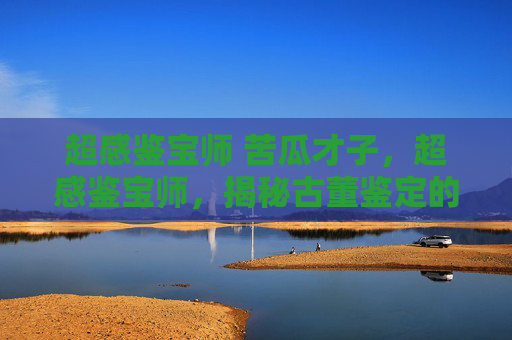 超感鉴宝师 苦瓜才子,超感鉴宝师,揭秘古董鉴定的神秘力量 超感鉴宝师 苦瓜才子,超感鉴宝师,揭秘古董鉴定的神秘力量