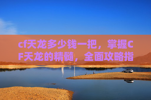 cf天龙多少钱一把，掌握CF天龙的精髓，全面攻略指南
