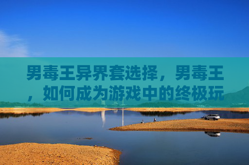男毒王异界套选择，男毒王，如何成为游戏中的终极玩家