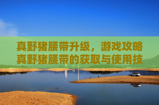 真野猪腰带升级，游戏攻略真野猪腰带的获取与使用技巧