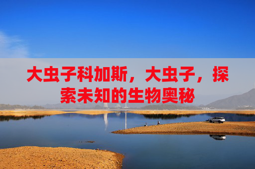 大虫子科加斯，大虫子，探索未知的生物奥秘