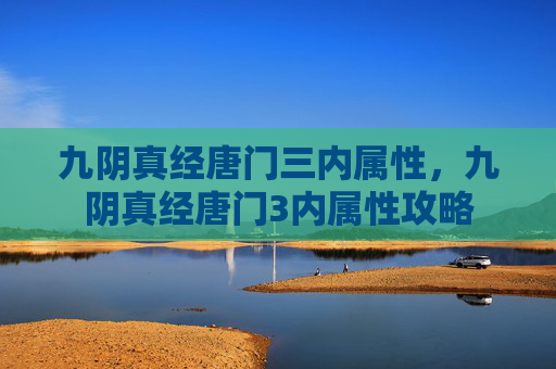 九阴真经唐门三内属性，九阴真经唐门3内属性攻略