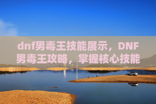 dnf男毒王技能展示，DNF男毒王攻略，掌握核心技能与装备选择