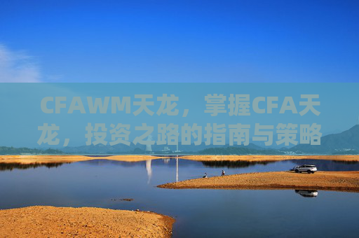 CFAWM天龙，掌握CFA天龙，投资之路的指南与策略