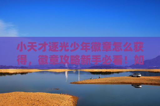 小天才逐光少年徽章怎么获得，徽章攻略新手必看！如何高效获取游戏中的珍贵徽章？