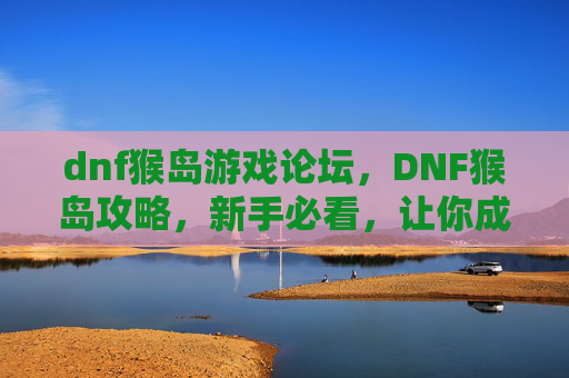 dnf猴岛游戏论坛，DNF猴岛攻略，新手必看，让你成为猴岛的王者