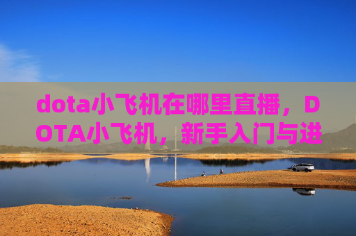 dota小飞机在哪里直播，DOTA小飞机，新手入门与进阶指南
