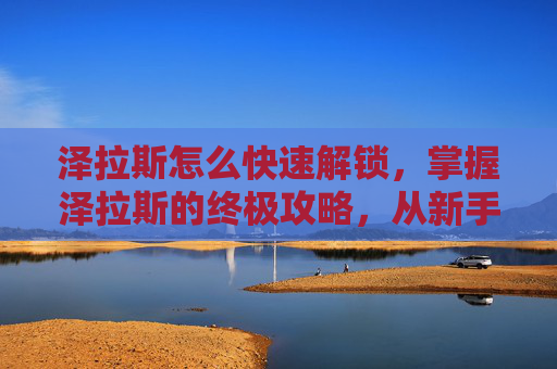 泽拉斯怎么快速解锁，掌握泽拉斯的终极攻略，从新手到高手的必修之路