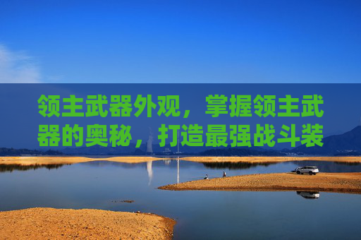 领主武器外观，掌握领主武器的奥秘，打造最强战斗装备